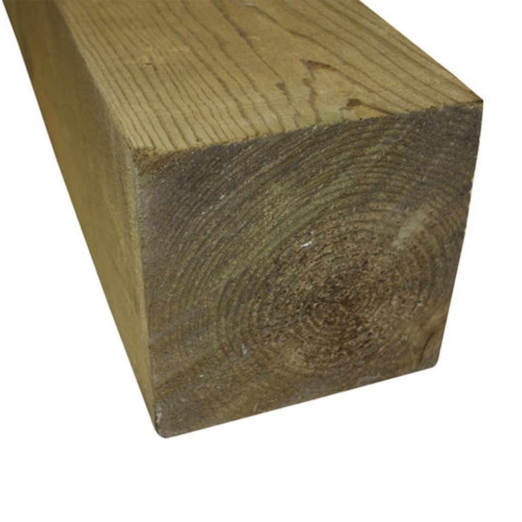 12X12X24 PINO CEP. TT