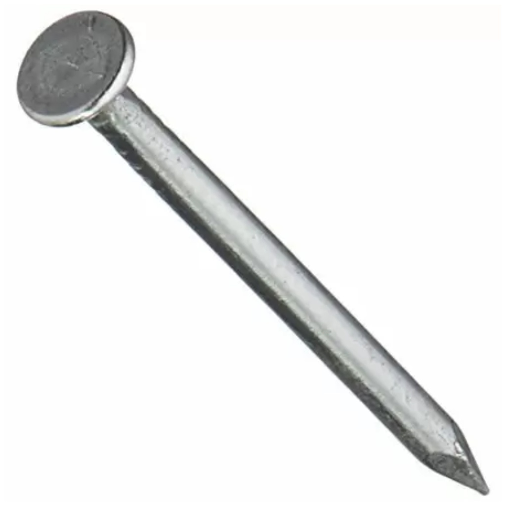 WIRE NAILS 7/8  PK 2OZ