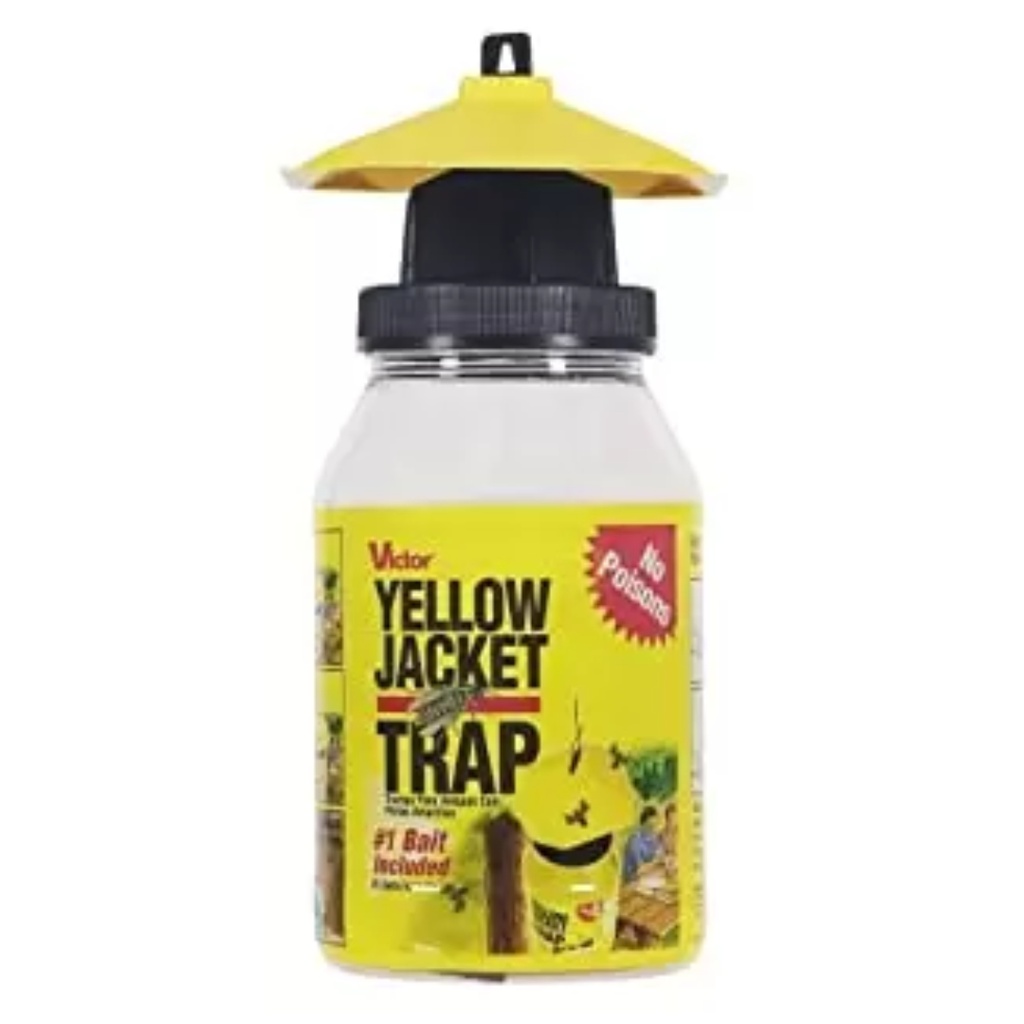 YELOW JACKET INSECT TRAP