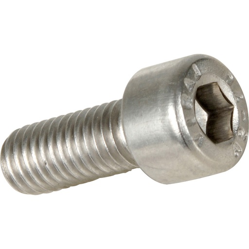 [40004405B] S/S SOCKET HEAD SCREW M6 X 12