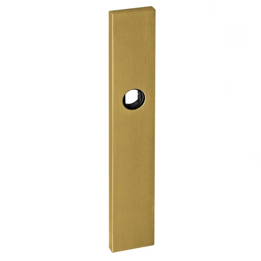 [IN03008SFTG] JNF PLATE FOR LEVER HAND T/GOLD