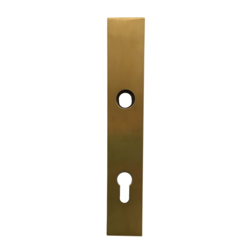 [IN03008PZTG] JNF PLATE FOR LEVER HAND TG 70MM