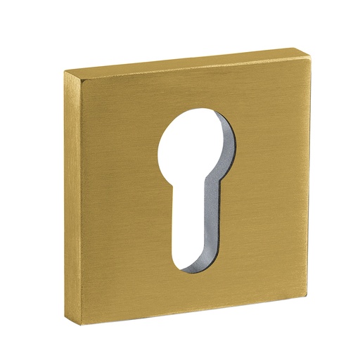 [IN0429QY08NTG] JNF KEY HOLE SQUARE TITA./GOLD