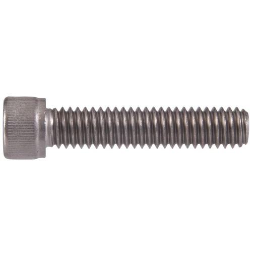 [40045339A] S/S SOCKET HEAD SCREW M6 X 10