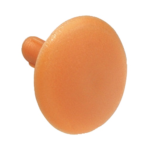 [04501008] HAFELE TRIM CAP PINE