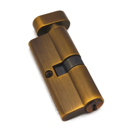 [IN19S113535BTG] JNF CYLINDER LLA/PES70MM T/GOLD
