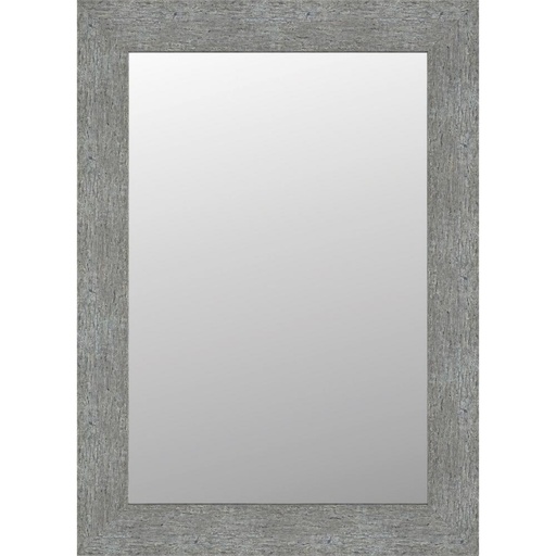 [DO01] DELTA MIRROR 24X36 DO01